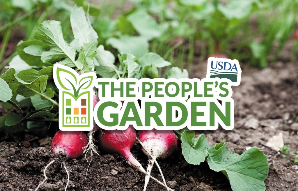 Ruff’ton Roots Community Garden Recognized as USDA’s People’s&nbsp;Garden
